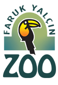 fyZoo-header-logo